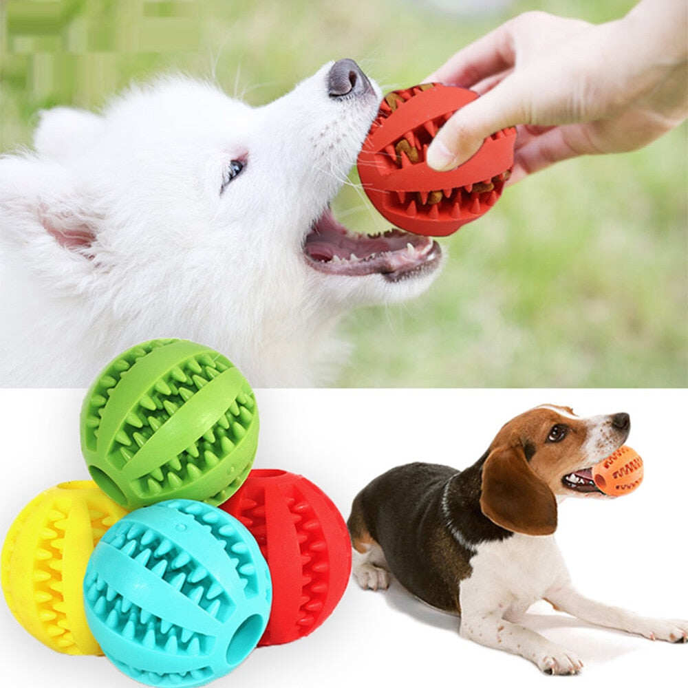 Dog Food Ball
